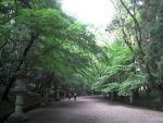 香取神宮の参道
