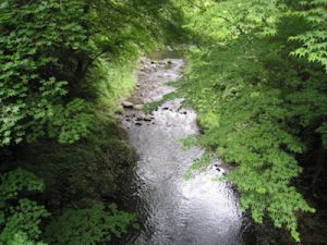 雲厳寺の前を流れる清流