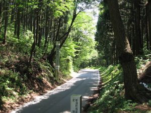 旧東山道の明神峠