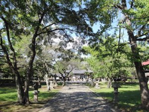 国分寺の薬師堂の参道