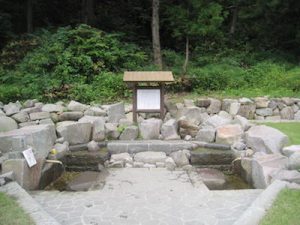 国道342号沿いの「蛭川清水」