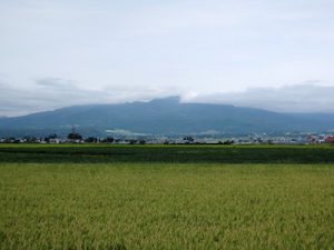 稲田の向こうに磐梯山を見る