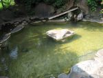 小栗山温泉の民宿「文伍」の露天風呂