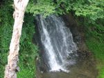 「滝の湯」の滝を見る