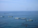 弁天島の岩ガキ漁の小舟