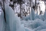 「秋神温泉」の「氷点下の森」