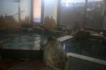 梅ヶ島温泉「泉屋旅館」の湯