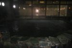 月ヶ谷温泉「月の宿」の朝湯に入る