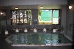 「龍河温泉」の大浴場