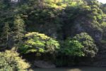 「御所覧場」の露天風呂から見る立久恵峡