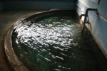「福寿温泉」の湯