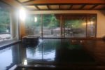 「木村屋旅館」の湯