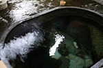 鉛温泉「藤三旅館」の朝湯に入る