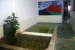 白老臨海温泉「赤富士荘」の湯