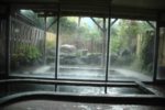 椿園温泉「ホテル椿園」の湯