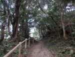 焼火神社への山道