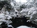 湯村温泉「井づつや」の雪の庭