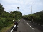 佐多岬への道