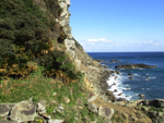 都井岬の断崖