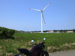 国道9号沿いの風車（鳥取）