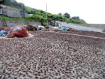 驫木漁港では海草を干している
