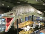 「ティノサウルス」の復元された模型