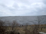 風連湖の眺め