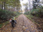雨竜湿原への道（2009年10月21日）
