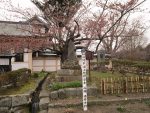 福山城には桜前線北海道上陸の標準木がある
