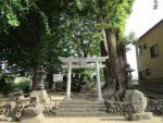 上野の元総社の宮鍋神社