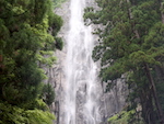日本一の名瀑、那智の滝