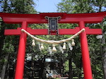 渡津神社の鳥居